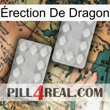 Érection De Dragon 17